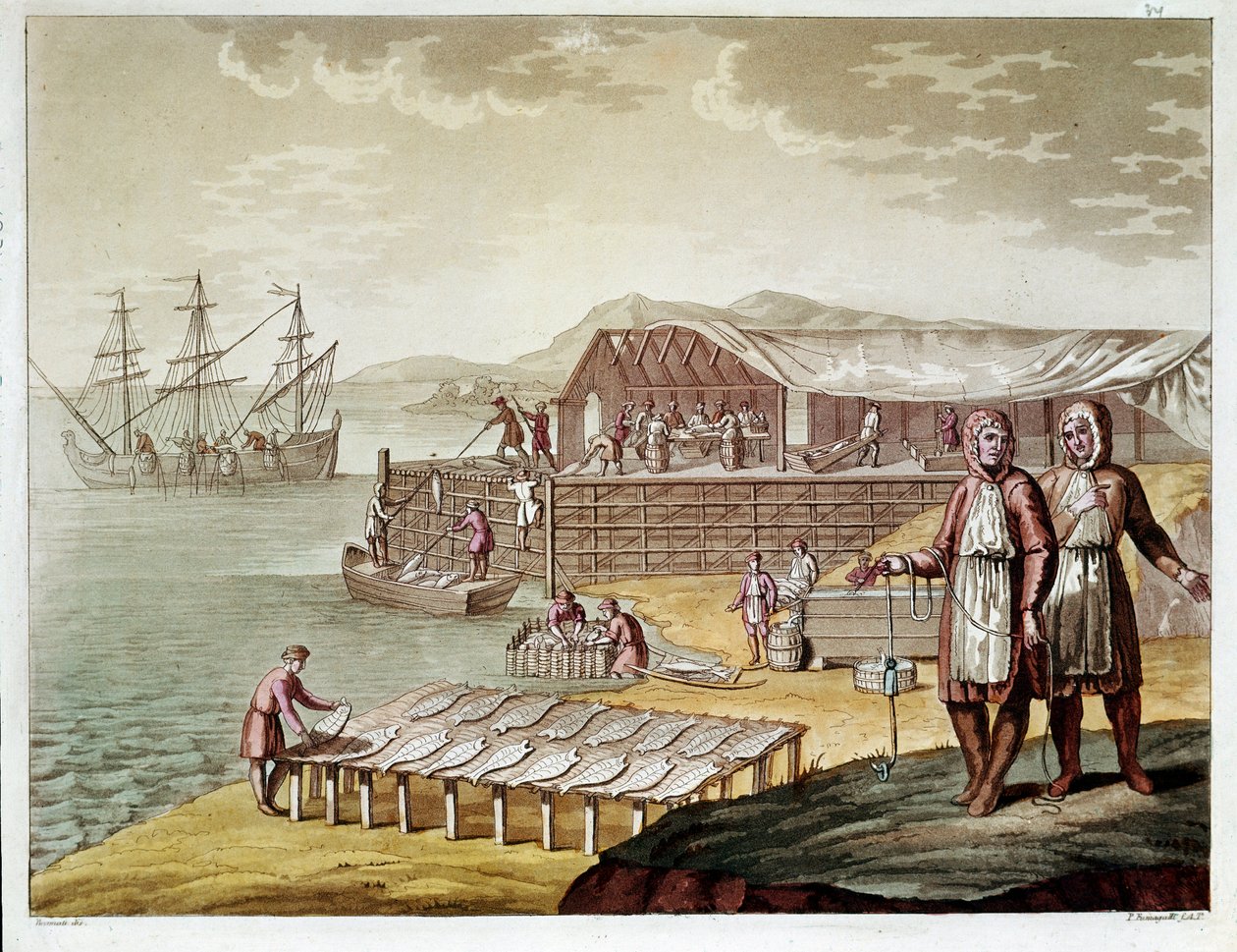Turskan kalastus ja kuivaus Newfoundlandissa. (Kaiverrus tekijältä Unknown artist