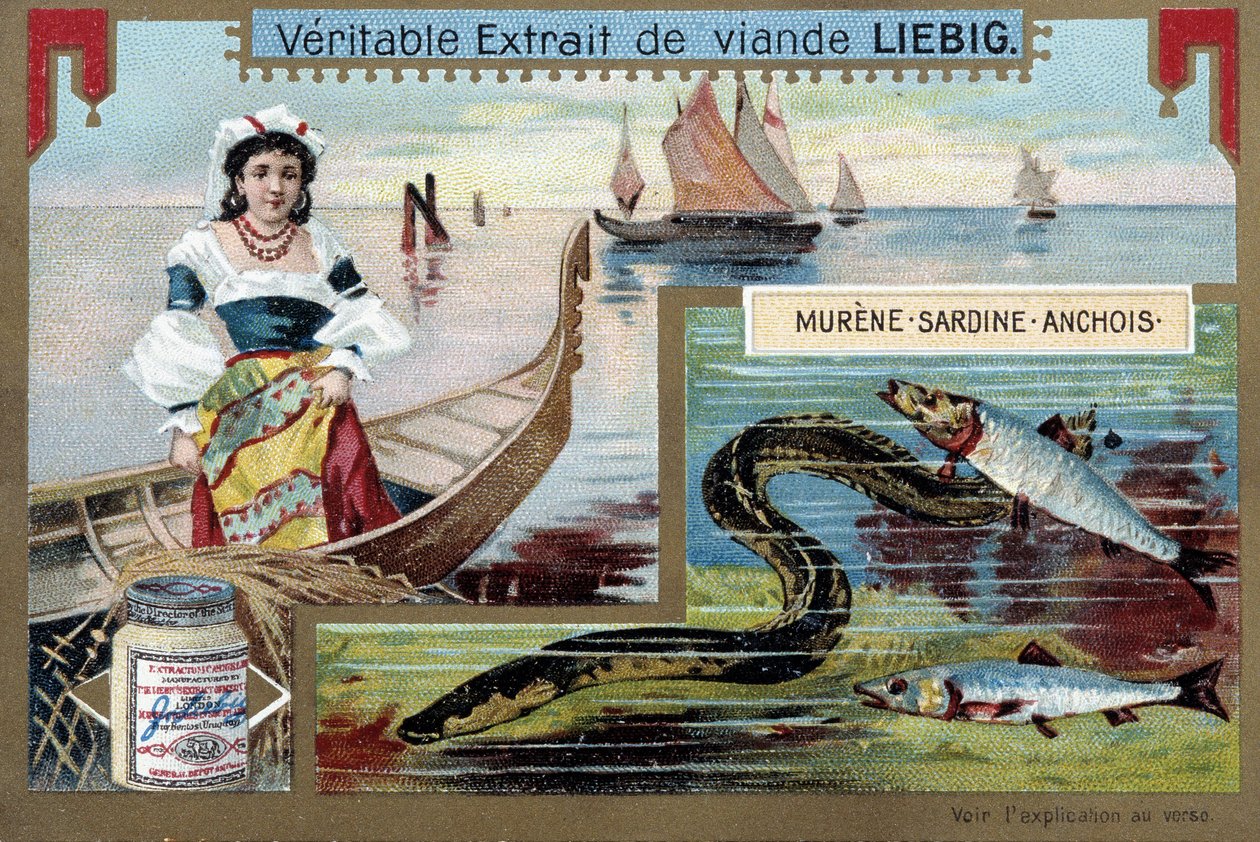 Kalastusveneet ja kalat (moray, sardiini, sardelli) - kromo. Liebig, v.1900 tekijältä Unknown artist