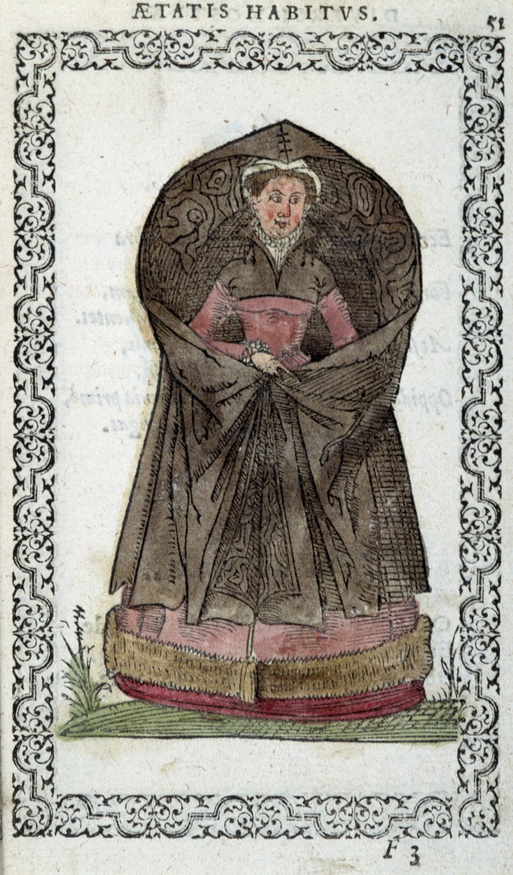 Flanderin Demoiselle - Jean Sulperiuksen teoksessa "Habits et efgies". tekijältä Unknown artist