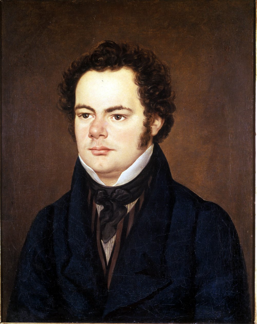 Franz Schubert (1797 - 1828), Wienin musiikinystävien seurassa säilytetty muotokuvamaalaus. tekijältä Unknown artist