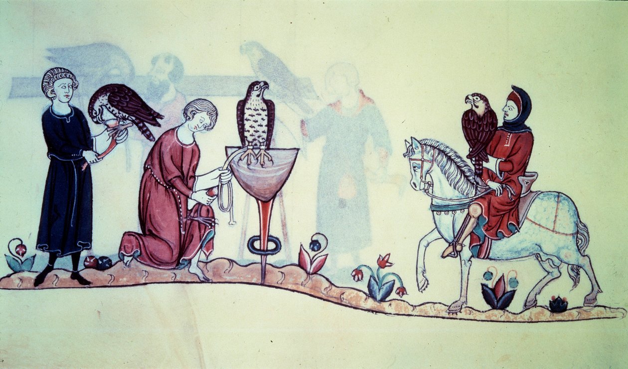 Frederic II (1194 - 1250) Saksan keisari vuonna 1212. Miniatyyri on peräisin 1200-luvun haukkametsästystä. Pariisi. B N tekijältä Unknown artist