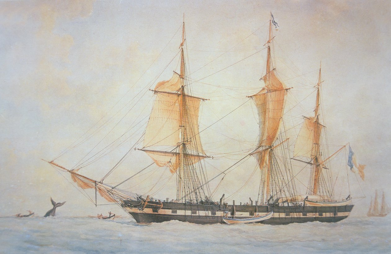 Ranskan valaanpyyntialus, n. 1845 (väri litho) tekijältä Unknown artist