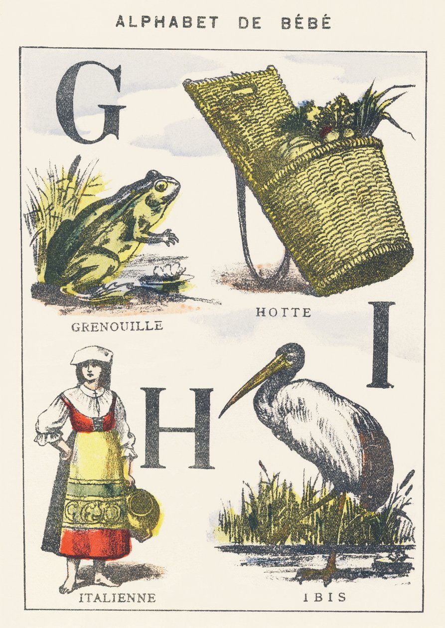 G H I: sammakko, huppu, italialainen, ibis tekijältä Unknown artist