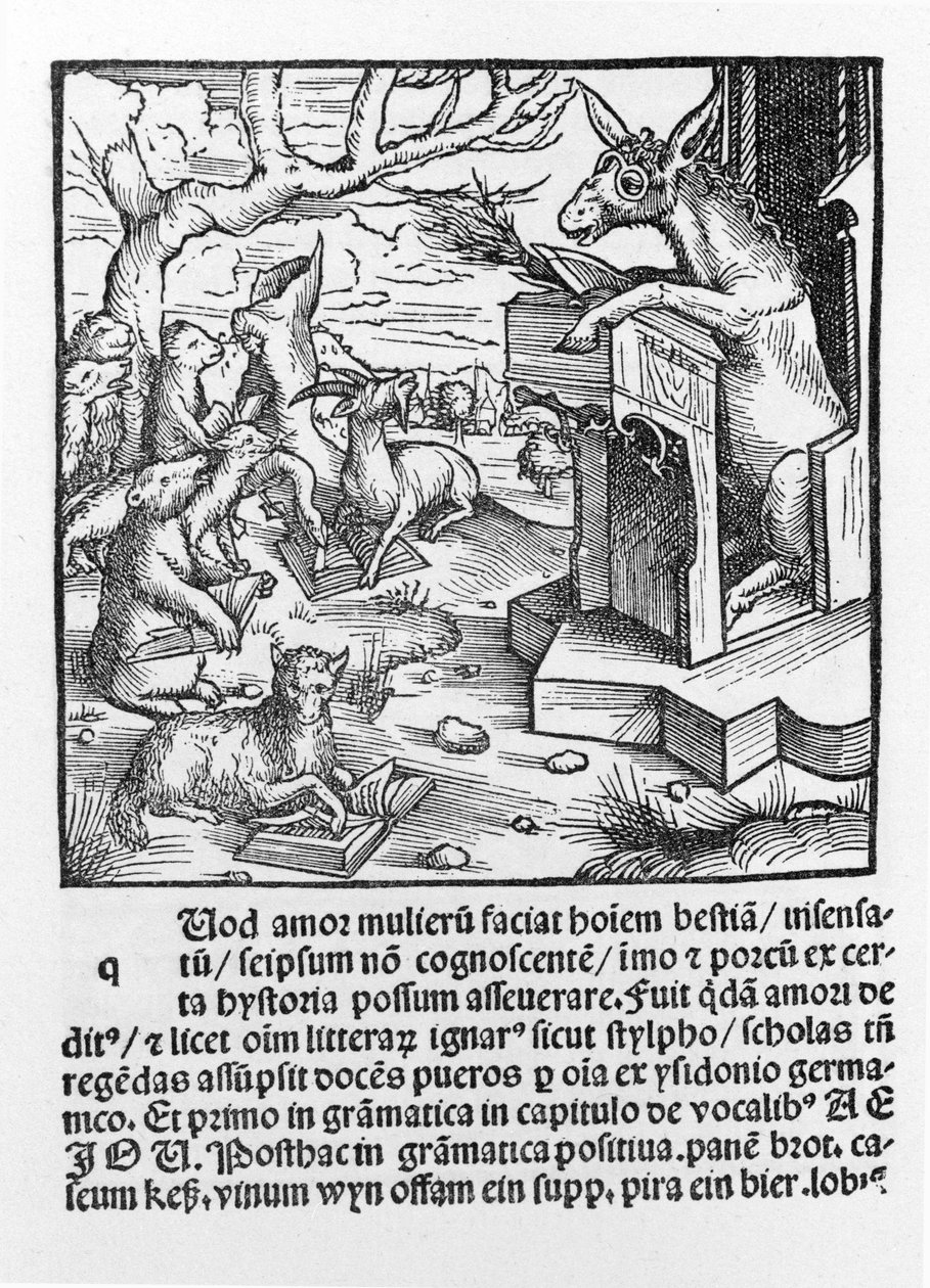 Saksalainen inkunaappi, joka kuvaa aasia opettamassa metsäeläinluokkaa. 1490. tekijältä Unknown artist