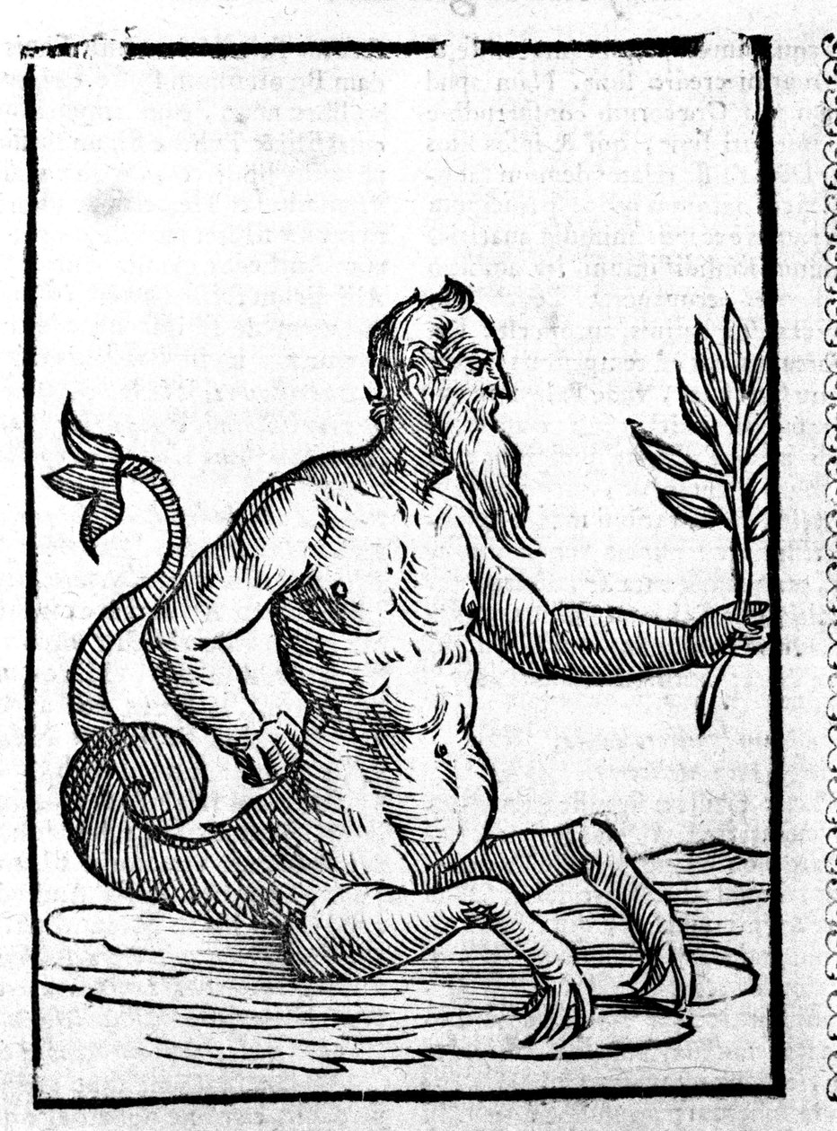 Glaukosia taikaruoholla, jonka ansiosta hän voi elää meressä - in Mythologiae sive magyarázata fablerum de Natalis Comitis. Patavia tekijältä Unknown artist