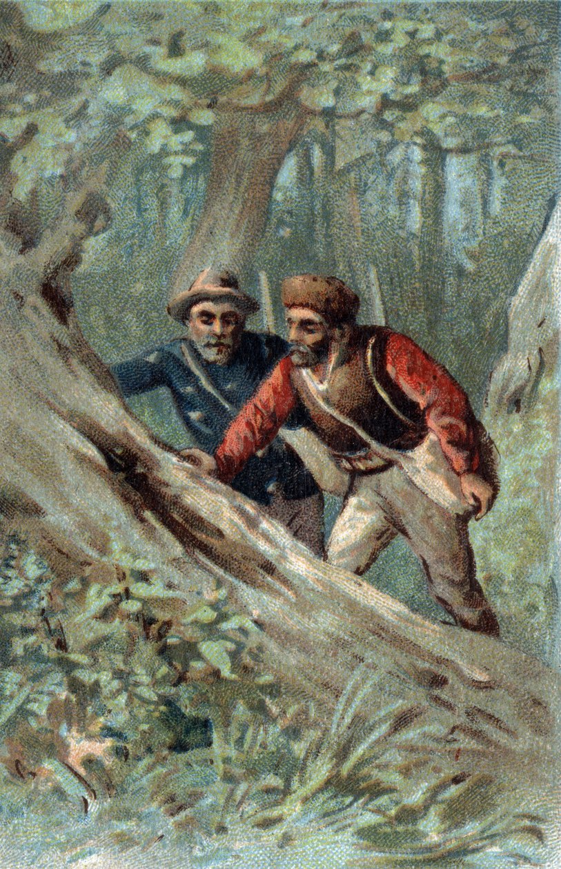 Hunajametsästäjät Kanadassa etsivät parvipuuta. 1800-luvun lopun kromolitografia. tekijältä Unknown artist