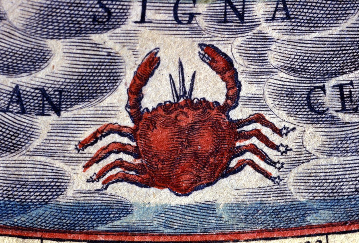 Horoskooppi: horoskooppi, syöpä. 1500-luvun kaiverrus. tekijältä Unknown artist