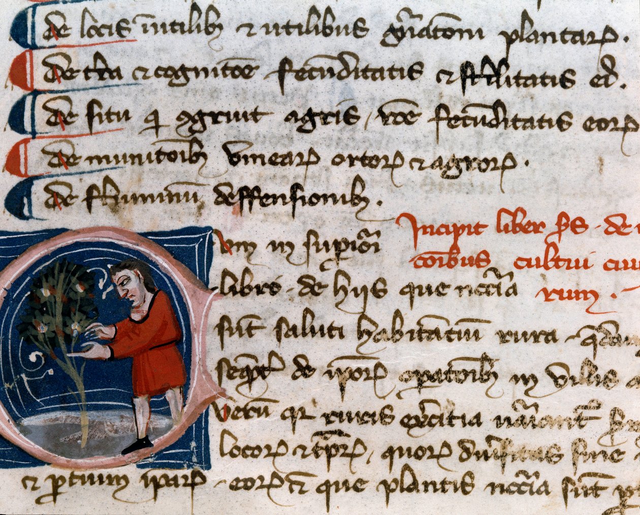 Puutarhanhoito: hedelmien korjuu. Yksityiskohta. Käsikirjoitussivu (MS.s.vi) Pietro de Crescenzin (Crescent Stone tai Crescens Stone) "" Agrarian Treat "" (1233-1320) 1300-luvun Cesena, Biblioteca Malatestiana tekijältä Unknown artist