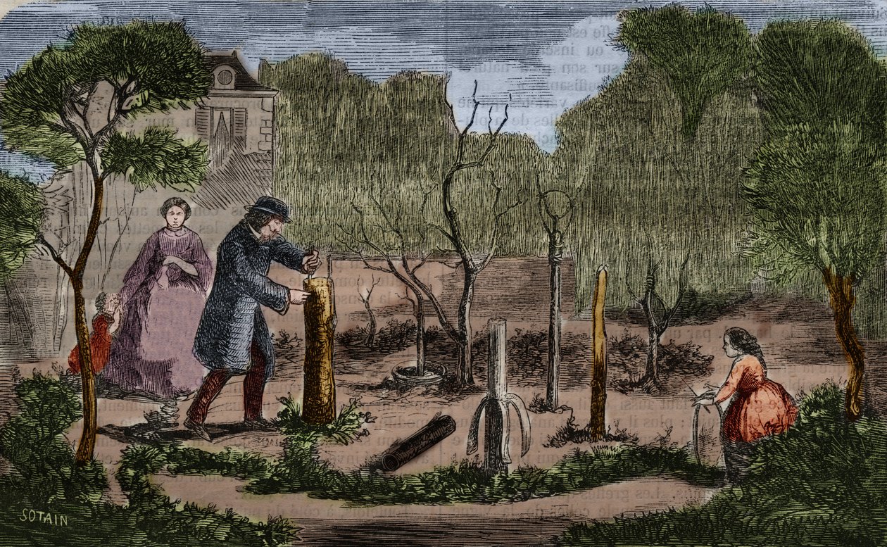 Puutarhaviljely: tärkeimmät kasvien istutusmenetelmät. 1860 kaiverrus. tekijältä Unknown artist