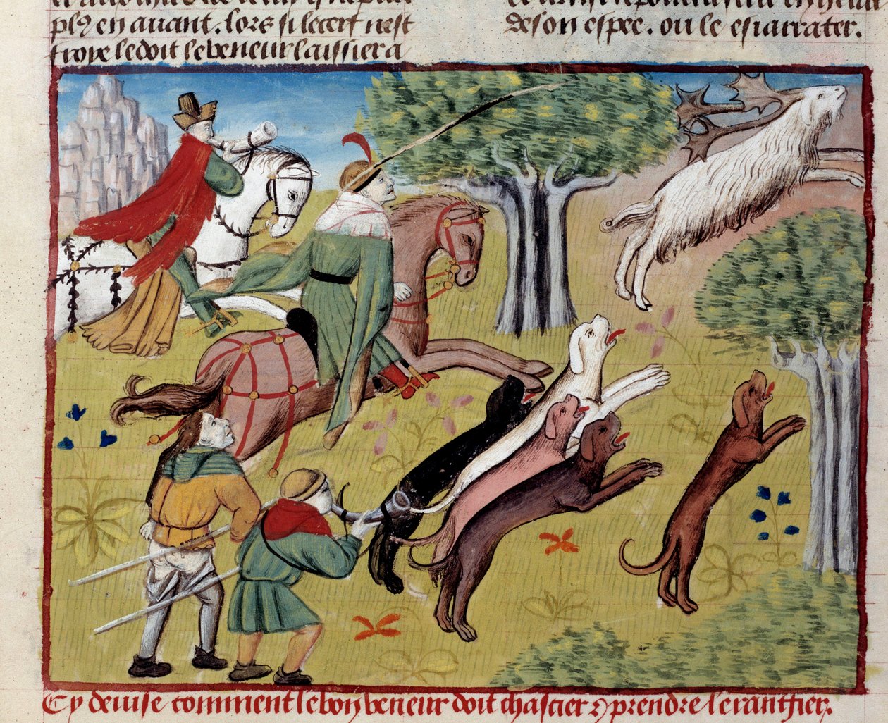Kuinka metsästää kääpiöpeura "Metsästyksen kirjasta" Gaston III Phoebus, Foixin kreivi, Bearnin herra (1331-1391) tekijältä Unknown artist