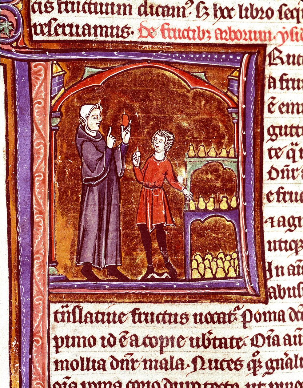 Päärynöiden säilyttäminen Miniatyyri Vincent de Beauvaisin (1184/94-1264) käsikirjoituksesta "Speculum historiale" (Le Mirror historial) 1200-luvun Laon, kaupunginkirjasto tekijältä Unknown artist