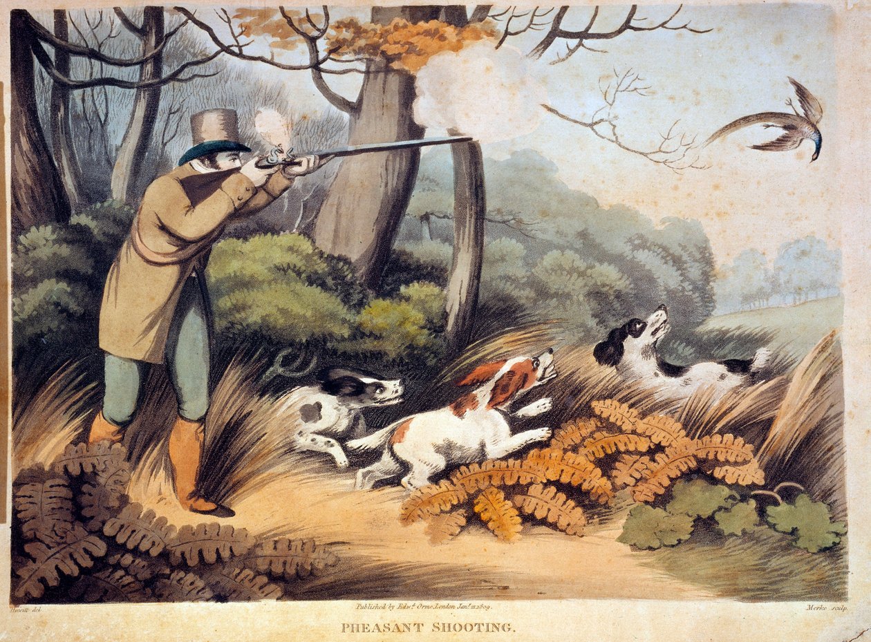 Fasaanien metsästys Englannissa. 1800-luvun kaiverrus. Gien, metsästysmuseo tekijältä Unknown artist