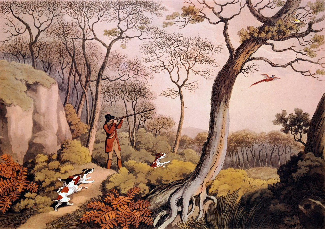 Fasaanien metsästys Englannissa. 1800-luvun kaiverrus. Gien, metsästysmuseo tekijältä Unknown artist