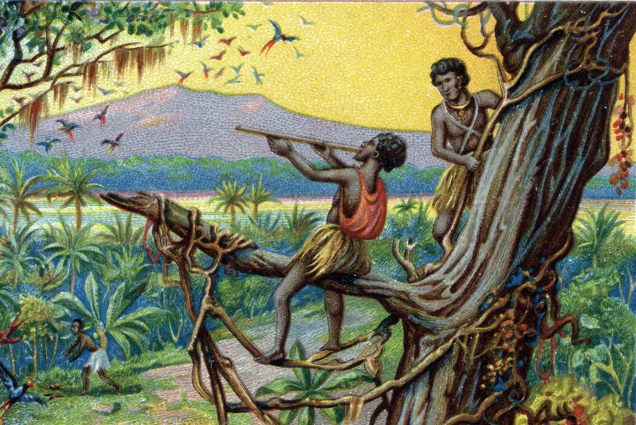 Metsästystekniikka. Hummingbirdin metsästys Polynesian saaristossa: asukkaat käyttävät puremia. 1800-luvun kromolitografia. tekijältä Unknown artist