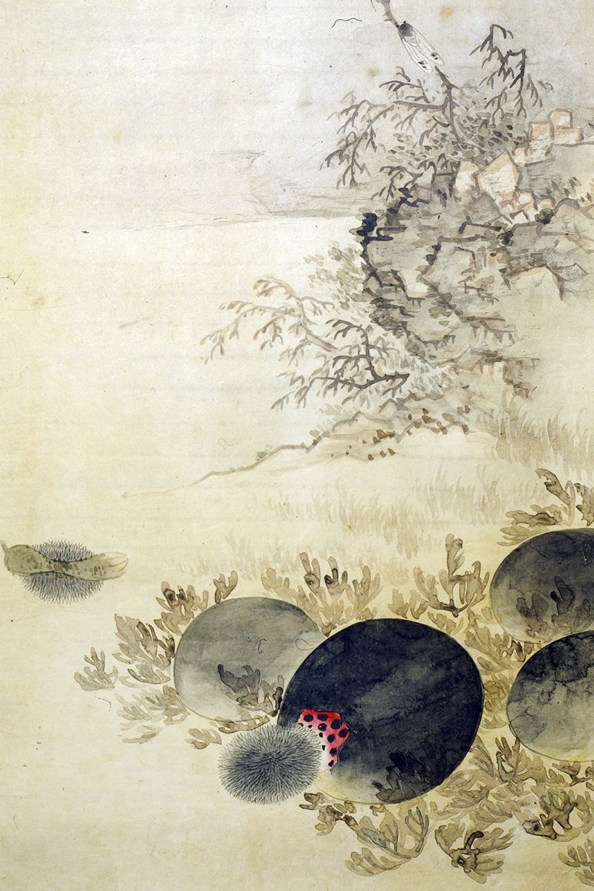 Hwajodo tekijältä Unknown artist