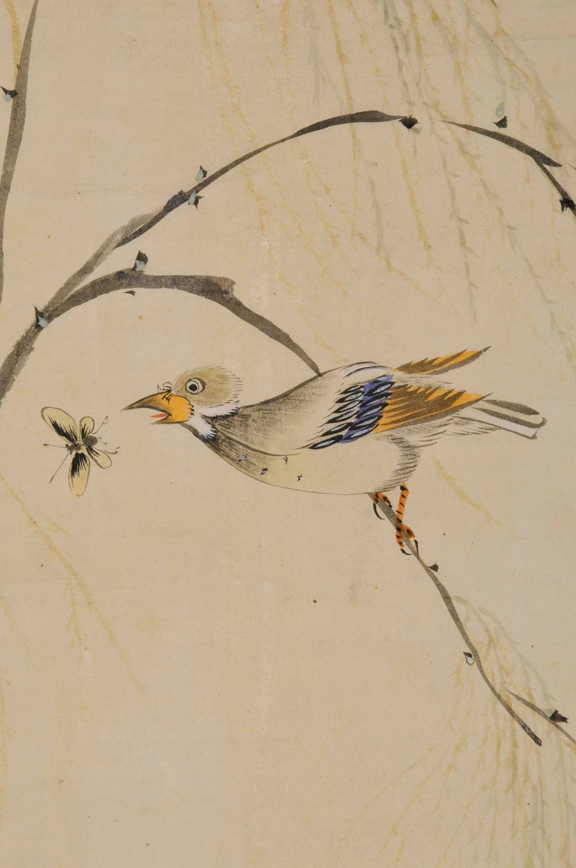Hwajodo tekijältä Unknown artist