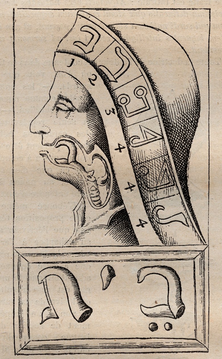 Kuvitus: "" Alphabeti vere naturalis Hebraici brevissima delineatio"" (Luonnon aakkoset) Francis Mercurius van Helmont (1618-1699) tekijältä Unknown artist