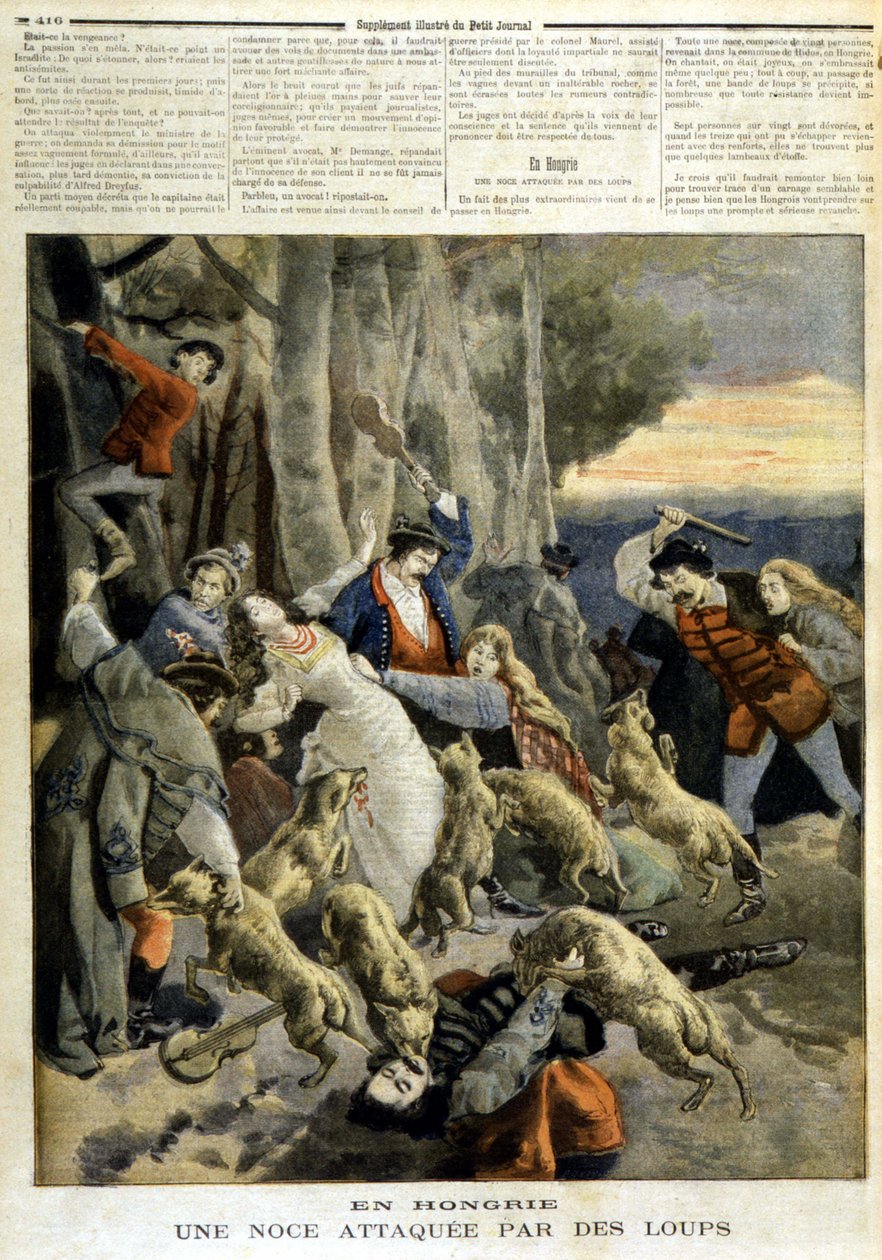 Unkarissa: susien hyökkäämät häät - "" Le Petit Journal" -lehdessä 23.12.1894 tekijältä Unknown artist