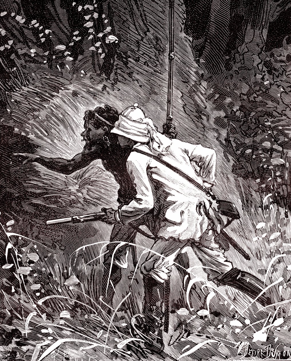 Kumipelloilla (Hevoea) Guyanan viidakossa tekijältä Unknown artist