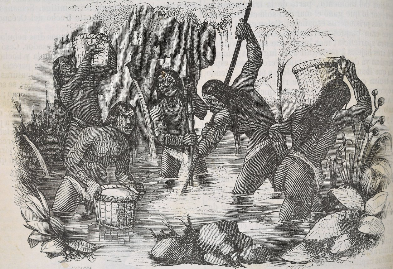 Intiaanit Hispaniolan saarelta etsivät kultaa tekijältä Unknown artist
