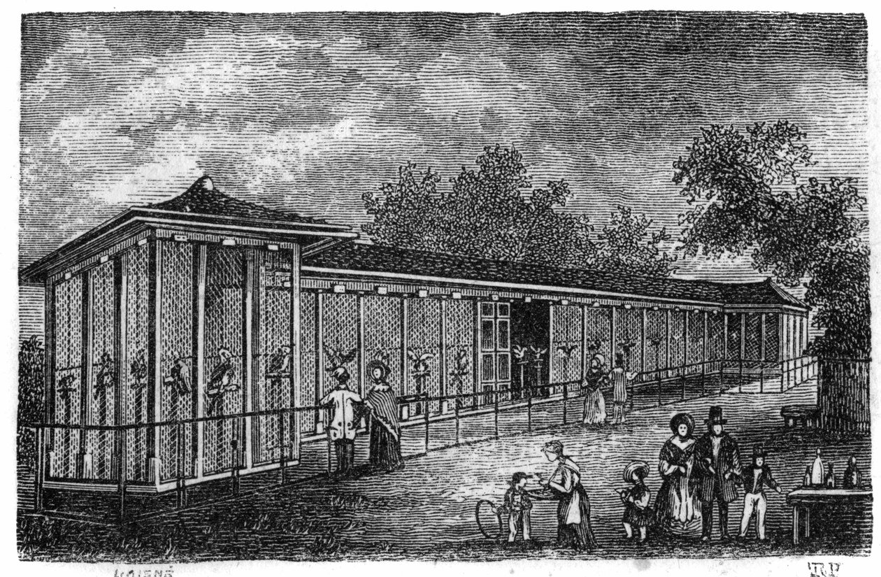 Jardin des Plantes Pariisissa vuonna 1861: haukkametsästystä. tekijältä Unknown artist
