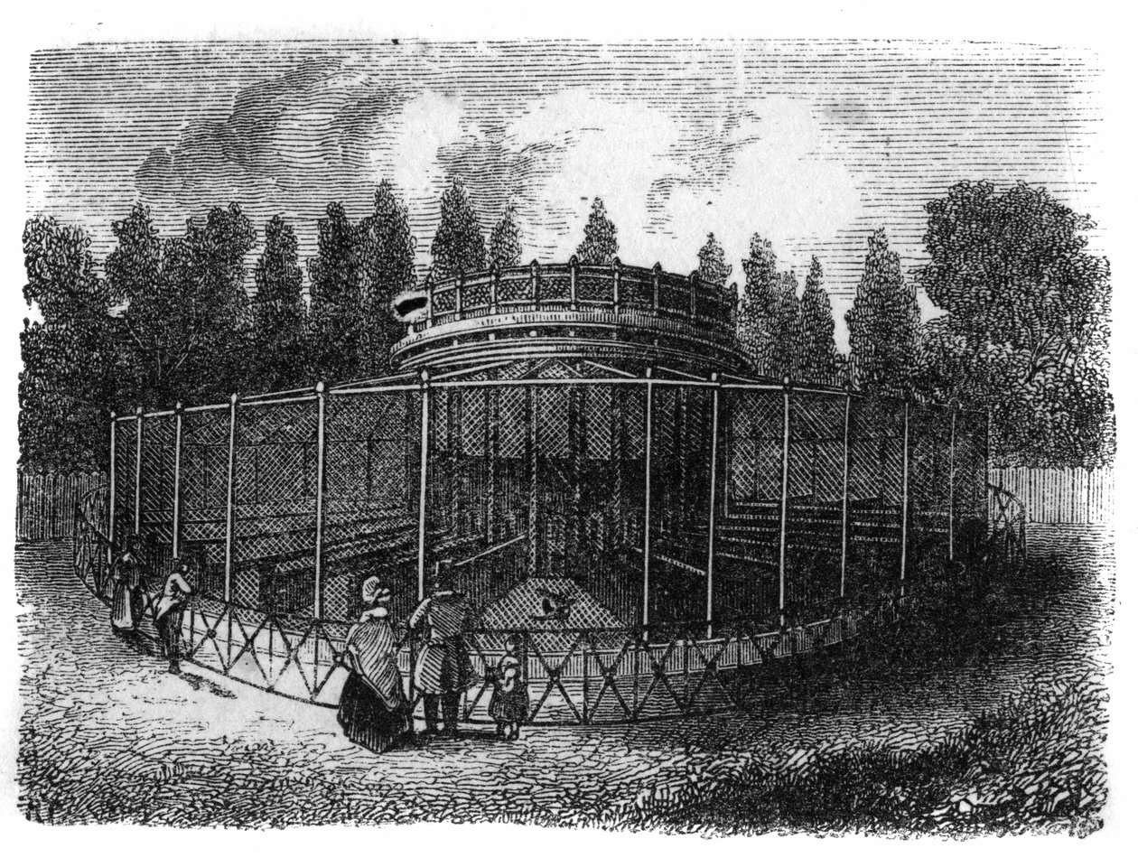 Jardin des Plantes Pariisissa vuonna 1861: pheasanderie. tekijältä Unknown artist