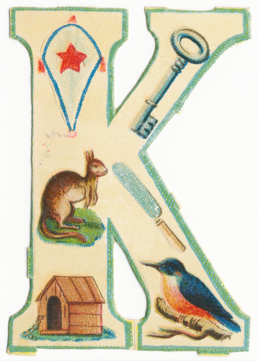 V: Hyönteiset, leijat, kengurut, havupuut, kennelit, kingfishers (musta litho) tekijältä Unknown artist