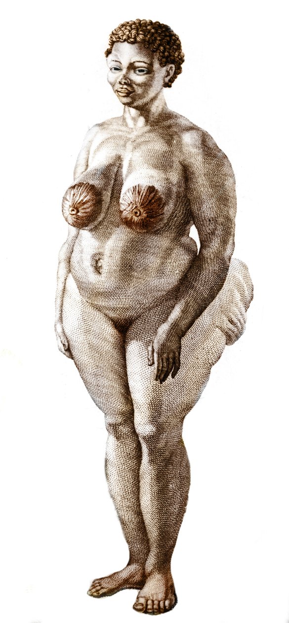 La Venus Hottentote, nainen, rotu Bochiman (The Hottentot Venus,) kaiverrus vuodelta 1815. tekijältä Unknown artist