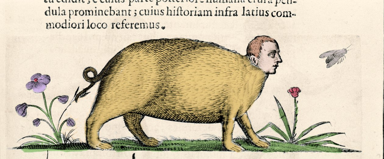 La manticore - Fortunio Whilein "Hirviöiden syiden luonteesta kirjassa kaksi". tekijältä Unknown artist