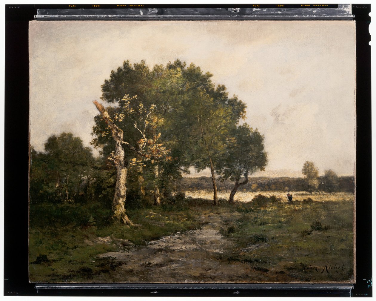 Maisema, noin 1800-luku (öljy kankaalle) tekijältä Unknown artist