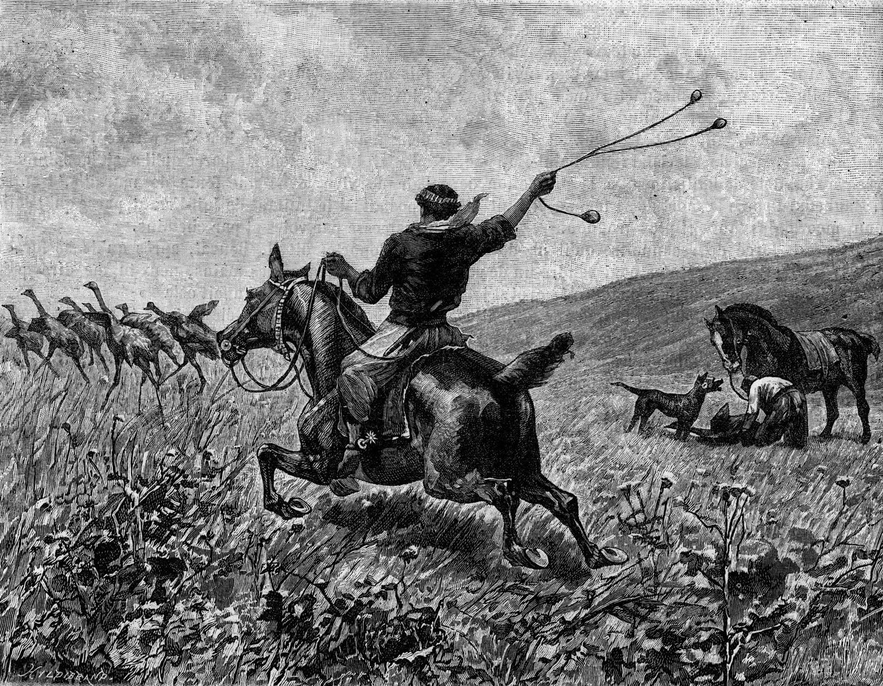 Lasso: metsästys kasua pallolassolla. Kaiverrus "" The Journal of Youth "" tekijältä Unknown artist