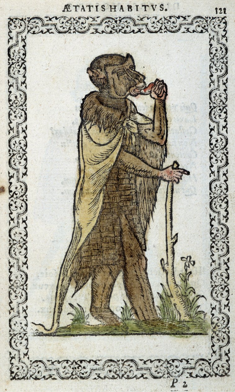 Seisova mansikka - Jean Sulperiuksen teoksessa "Habits et effigies". tekijältä Unknown artist