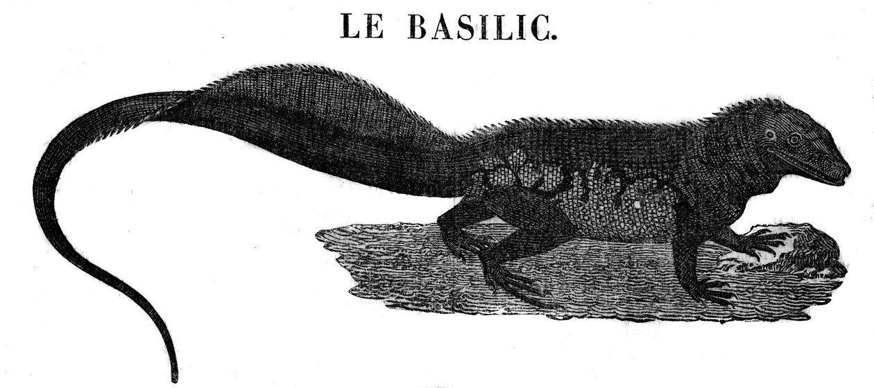 Legendaarinen hirviö: matelija Basilin esitys. tekijältä Unknown artist