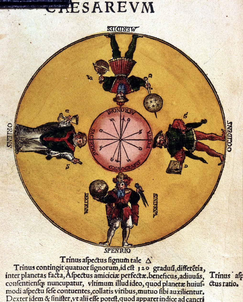 Les antipodes - 1500-luvun tutkielmassa "" Astronomicon caesarum". tekijältä Unknown artist