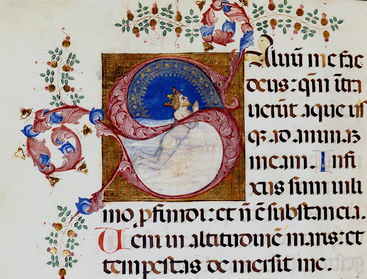 Lettrine S: Daavid syvässä valossa - 1400-luvun antifonia. Kunnallinen Raamattu. Riministä. tekijältä Unknown artist