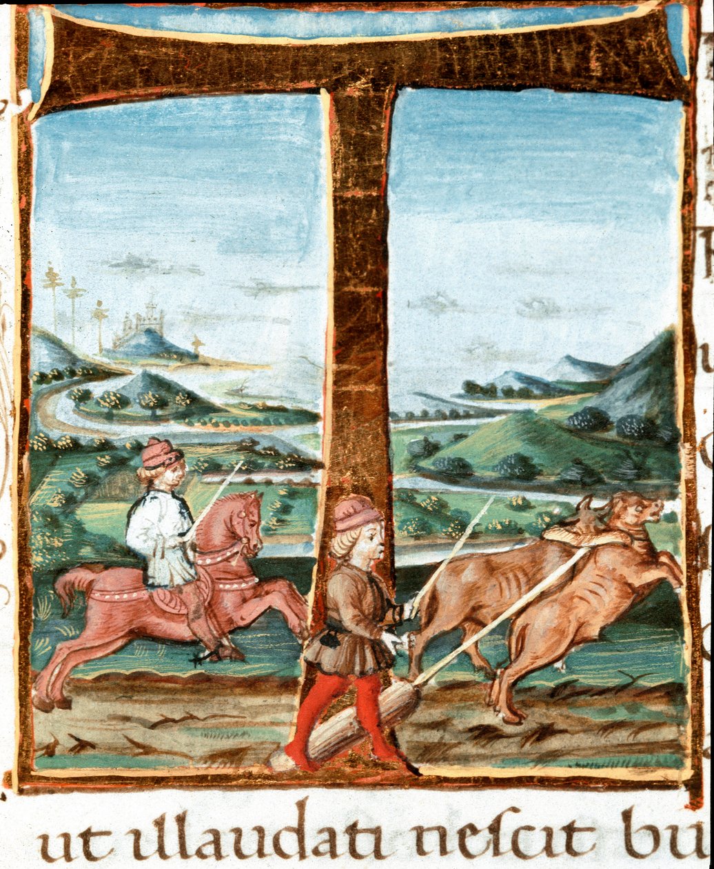 Lettrine T decoree ratsastajasta ja härkien kouluttajasta - Miniatyyri otettu kirjasta "" The Bucoliques"" (Eglogues), kirjoittanut Virgil (Publius Vergilius Maro) (70-19 eKr.) (Ms IV E.12). 1400-luvun Napoli, kansalliskirjasto tekijältä Unknown artist