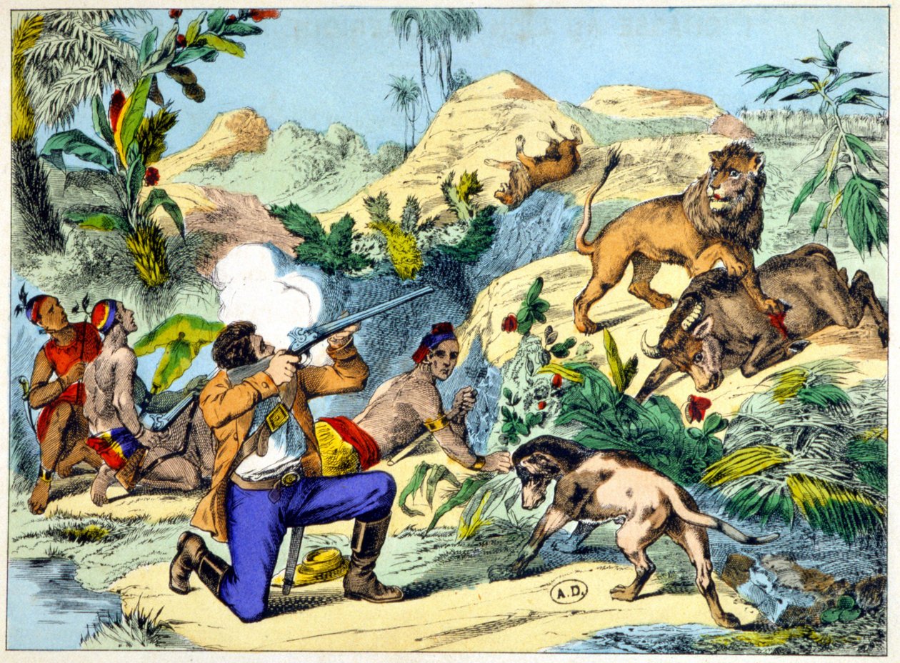 Leijonanmetsästys Etelä-Afrikassa. 1800-luvun kaiverrus. tekijältä Unknown artist