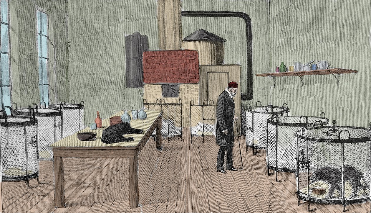 Louis Pasteur (1822-1895), ranskalainen kemisti ja fyysikko laboratoriossaan Pariisissa. tekijältä Unknown artist