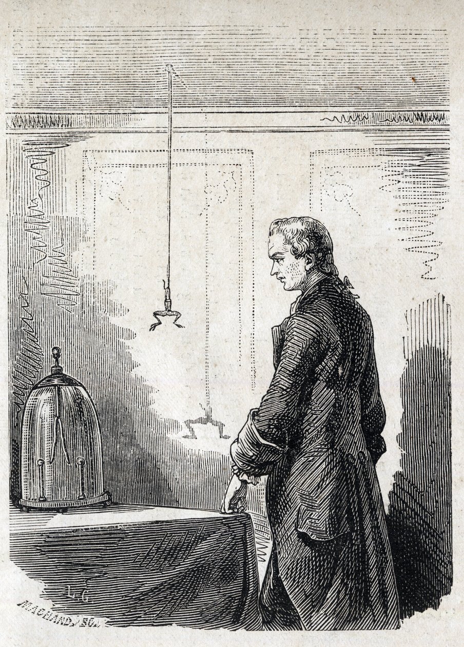Luigi Galvani aiheuttaa sammakon supistuksia salamanvarsielektriitillä - LUIGI GALVANI (1737-1798) italialainen lääkäri ja fyysikko. Aiheuttaa supistuksia sammakossa ukkospilven sähköllä tekijältä Unknown artist