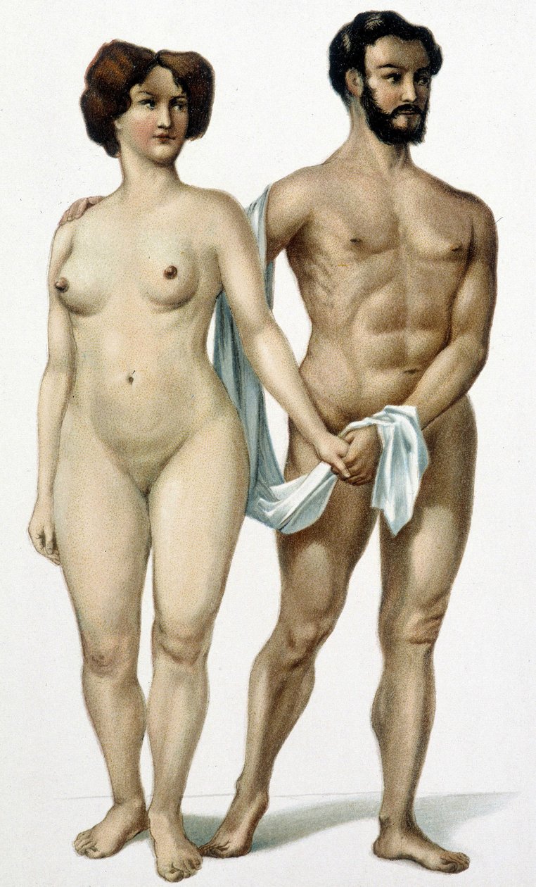 Mies ja nainen - lääketieteen kirja, 1800-luvun loppu tekijältä Unknown artist