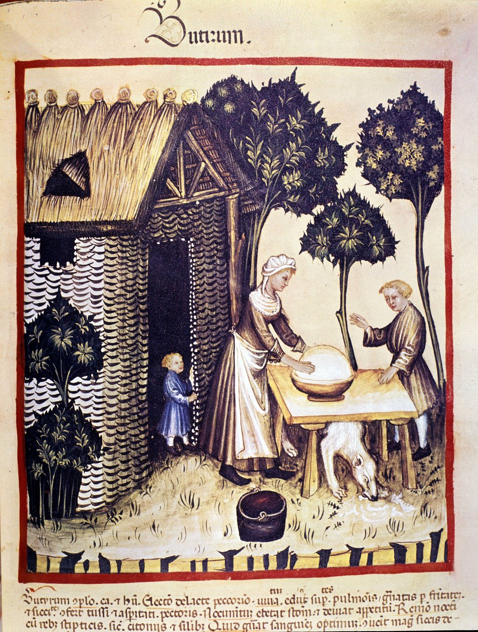 Voin valmistus. Valaistus lääketieteen ja dietetiikan lypsystä "" Tacuinum sanitatis"" tekijältä Unknown artist