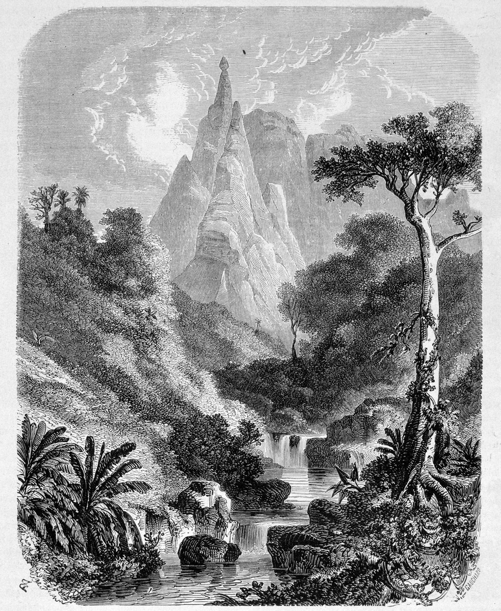 Mauritius: Peter-Booth - elokuvassa "" Le Tour du Monde", 2. viikko 1861 tekijältä Unknown artist