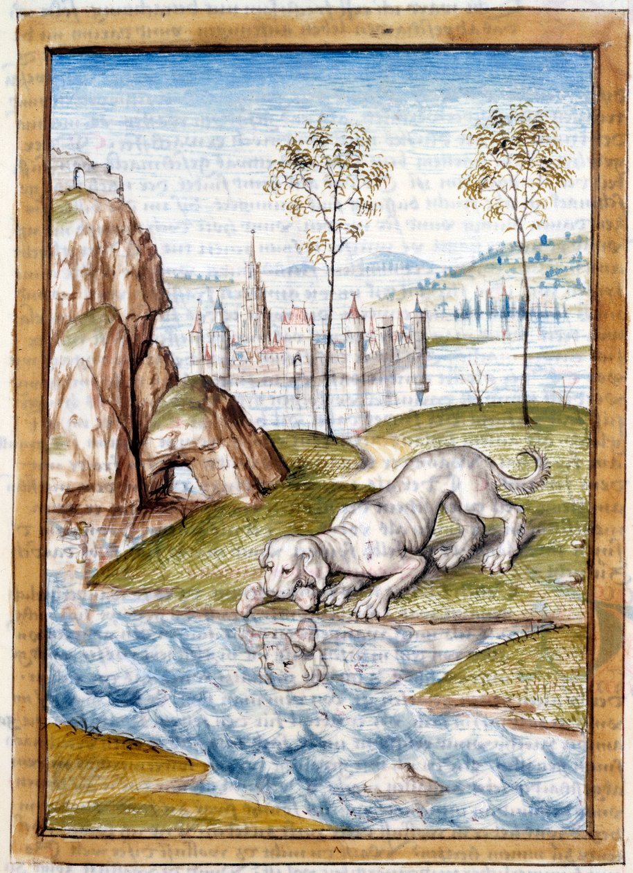 Miniatyyrieläimet saksankielisestä käännöksestä Bidpain "" Kalila (Calila) ja Dimna" -taruista. 1400-luvun Chantilly, Musee Conde tekijältä Unknown artist