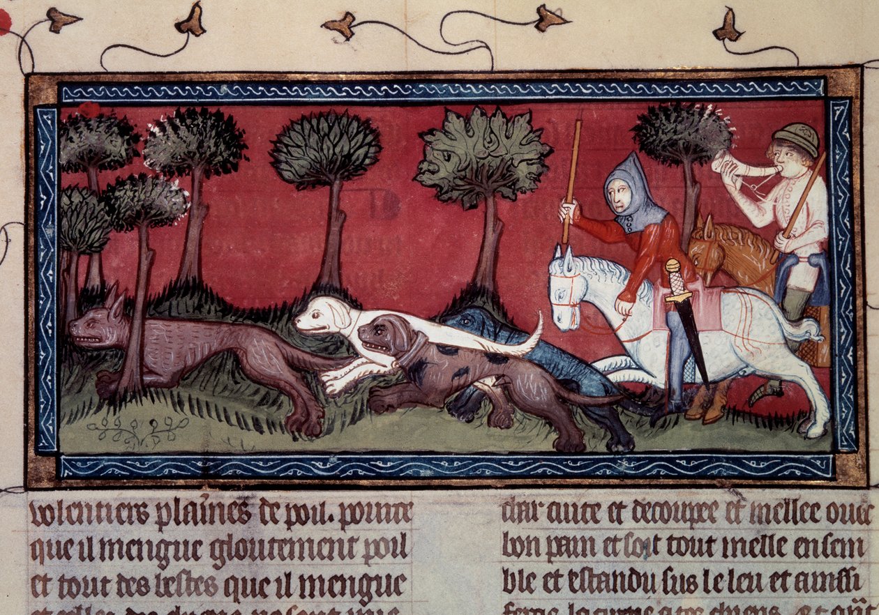 Kääpiöketun metsästys käsikirjoituksesta fr. 1297 Henri de Ferrieresin "" kirja King Modus ja Queen Ratio" (1300-luku) tekijältä Unknown artist