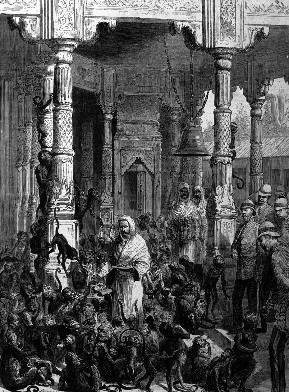 Apinatemppeli Apinatemppeli Varanasissa (entinen Benares) vuonna 1877. tekijältä Unknown artist