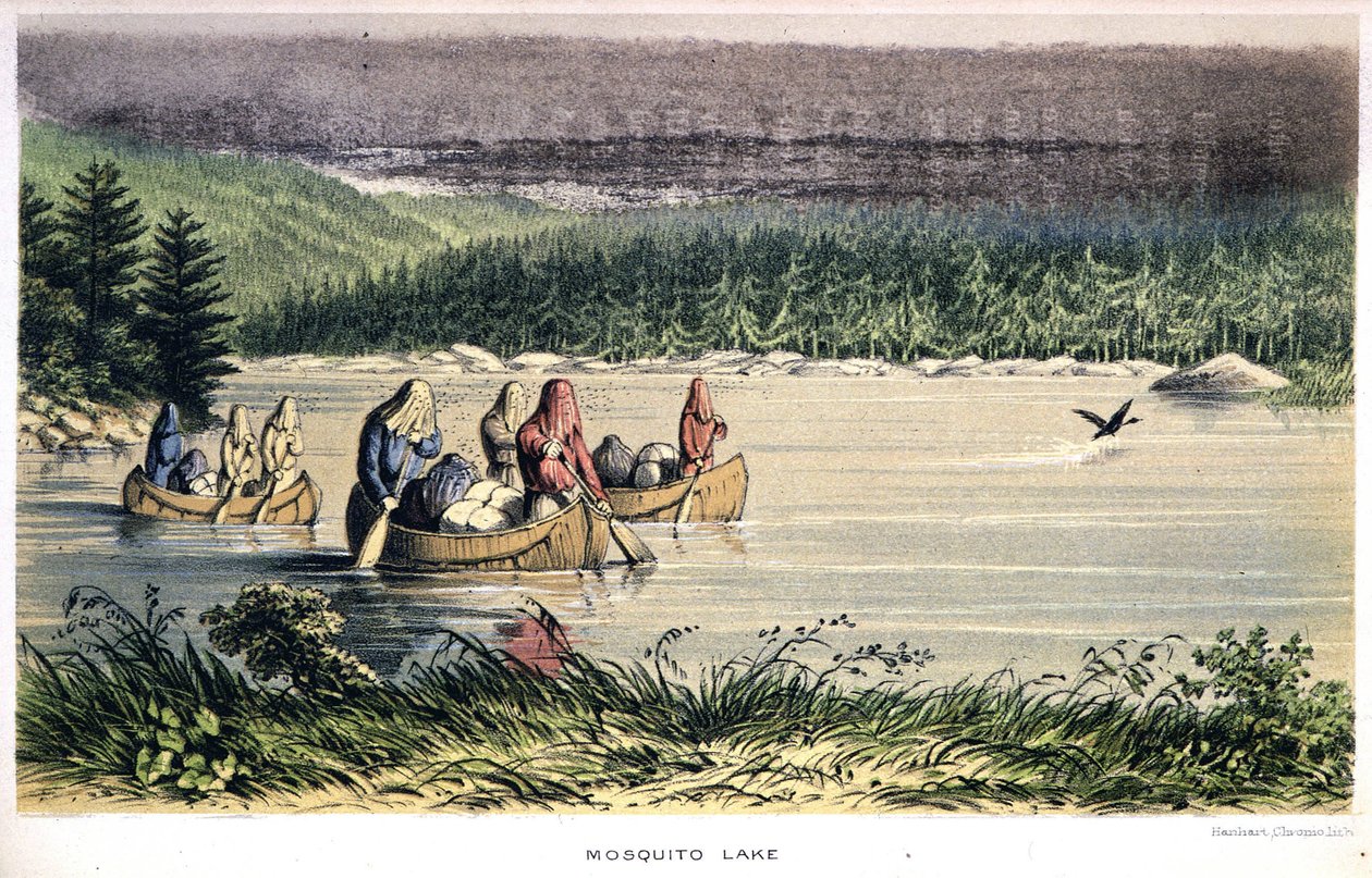 Mosquito Lake Kanadassa: Intiaanit kanootilla järven poikki hyttysverkot päässä - "Exploration of the Labradorin niemimaan", kirjoittaja Hind, Lontoo tekijältä Unknown artist