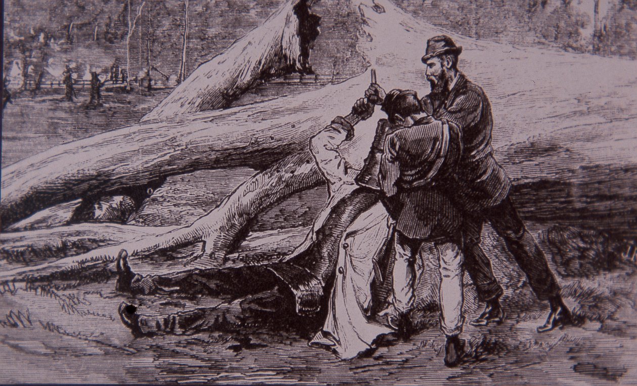 Poliisikonstaapeli Kelly ja rautatiemies Jesse Dowsett vangitsivat Ned Kellyn, 28. kesäkuuta 1880 (kaiverrus) tekijältä Unknown artist