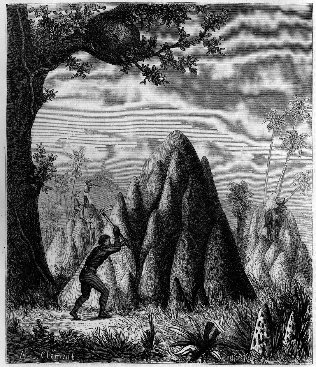 "Sotaisen termiitin" ja "puiden termiitin" pesät Afrikassa. Kaiverrus "" La Nature: revue des sciences et de leurs applications aux arts et a l