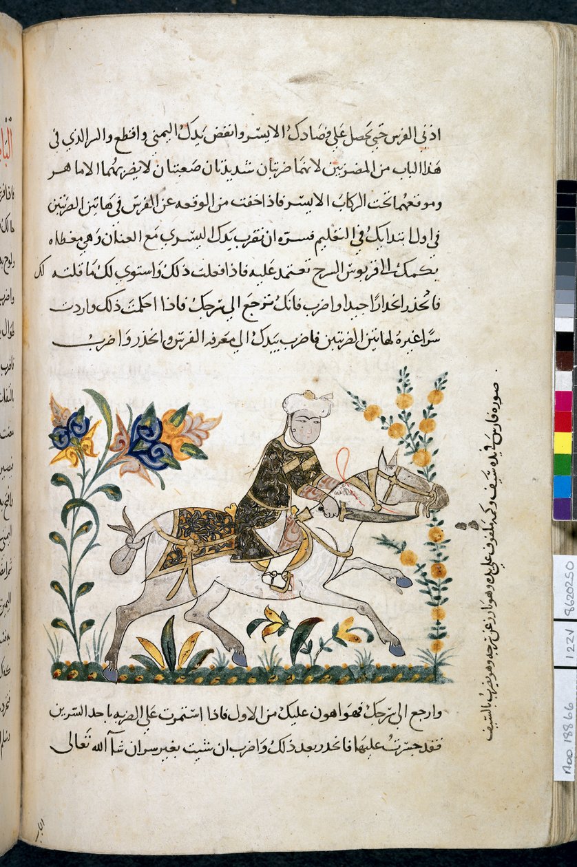 Nihāyat al-suʾl wa-al-umnīyah fī taʿlīm al-furūsīyah, Lisää MS 18866, f.122v, c.1371 (muste ja pigmentti paperilla) tekijältä Unknown artist