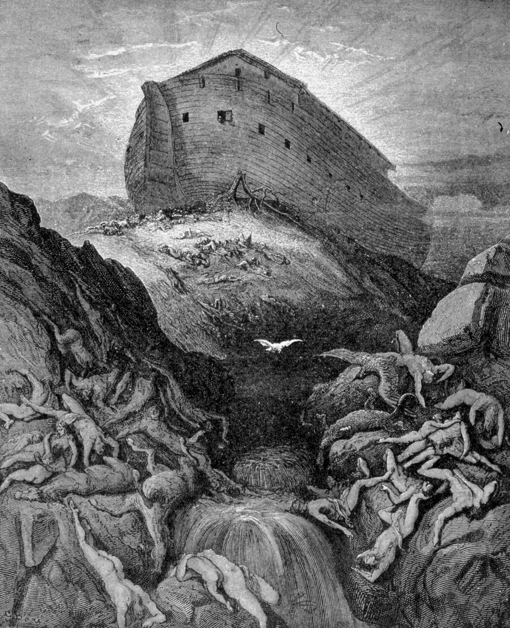 Nooa lähettää kyyhkysen maan päälle Genesiksen mukaan. 1800-luvun kaiverrus. tekijältä Unknown artist
